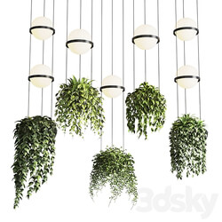Vibia palma pendent lamp pot light pendant plant light hanging 04 vray Pendant light 3D Models 