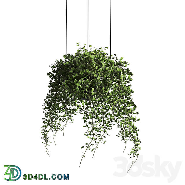 Vibia palma pendent lamp pot light pendant plant light hanging 04 vray Pendant light 3D Models