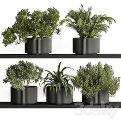 indoor Plant Set 402 Small Plant pot 3D Models 