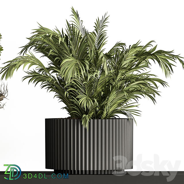 indoor Plant Set 402 Small Plant pot 3D Models