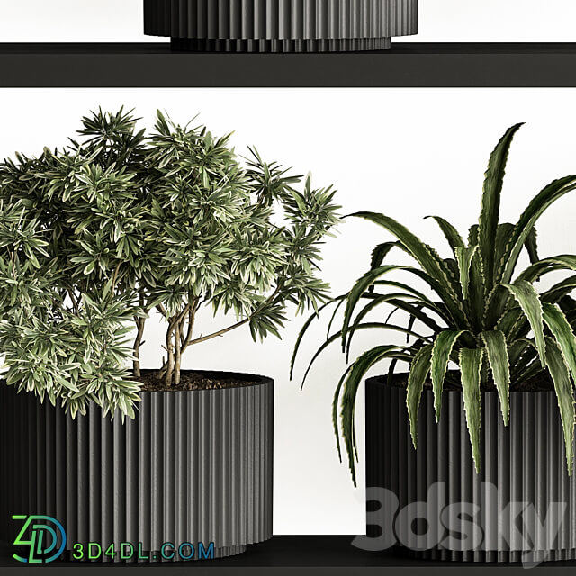 indoor Plant Set 402 Small Plant pot 3D Models