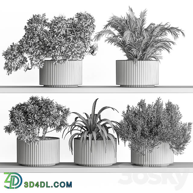 indoor Plant Set 402 Small Plant pot 3D Models