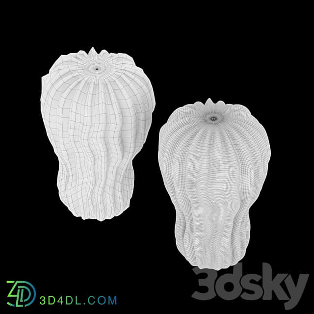 SKANDI Organic 3D Models