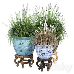 Porcelain grass 3D Models 