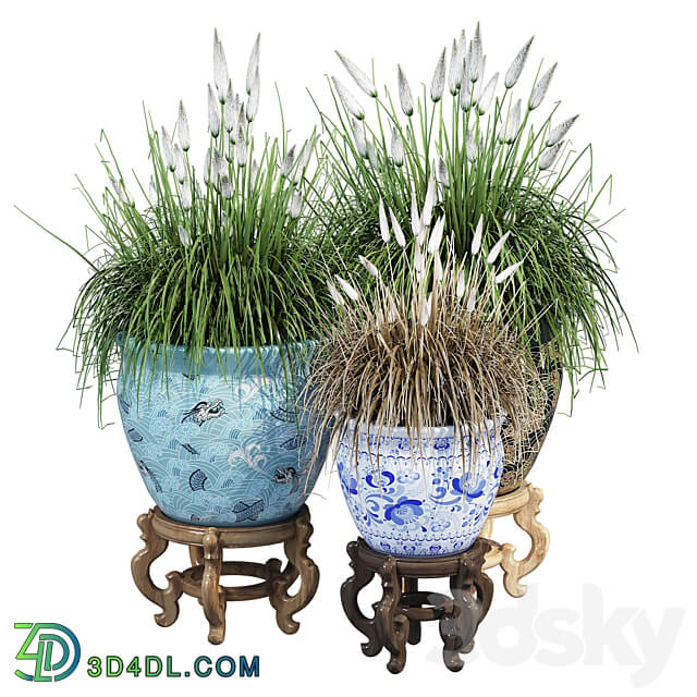 Porcelain grass 3D Models