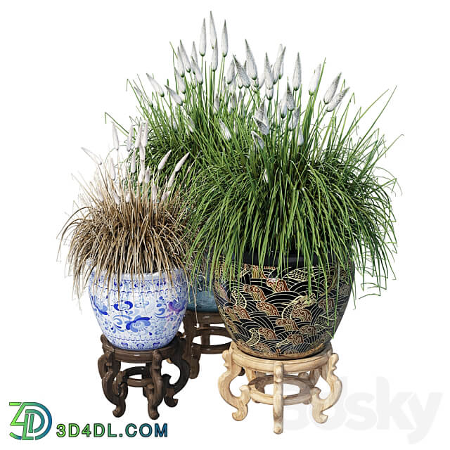 Porcelain grass 3D Models