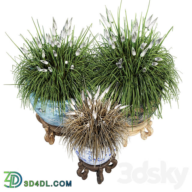 Porcelain grass 3D Models