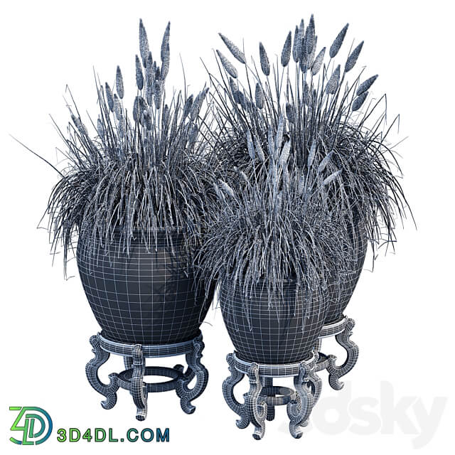 Porcelain grass 3D Models