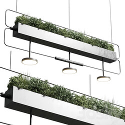 pot light pendant plant light hanging 07 Pendant light 3D Models 