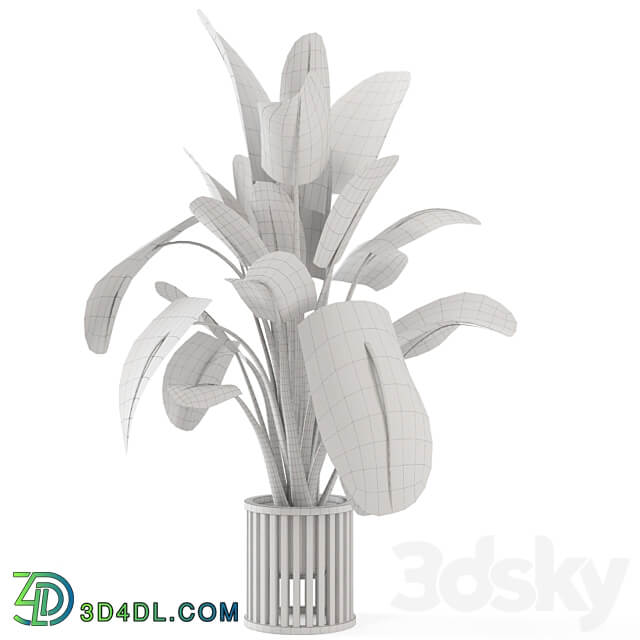 Indoor Plants in Metal Pot Set 842 3D Models