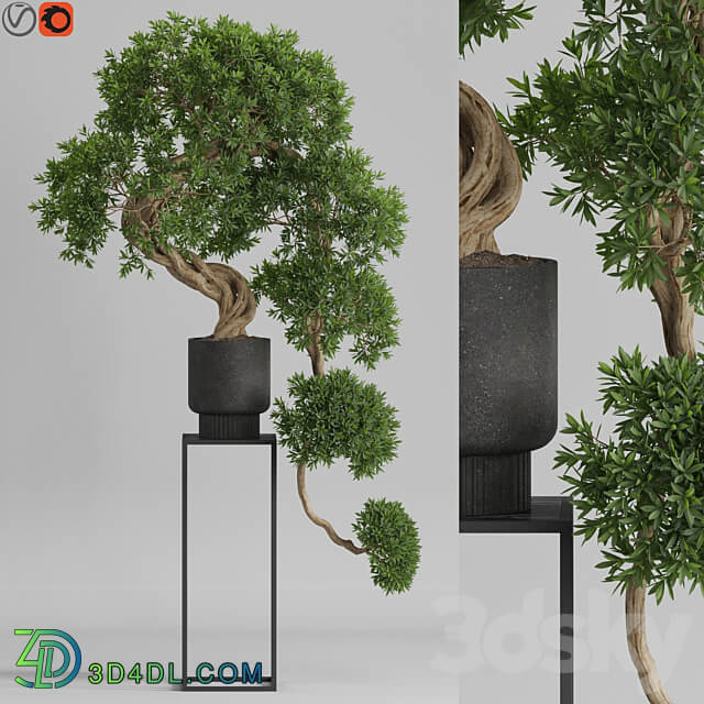 Plants collection 744 3D Models