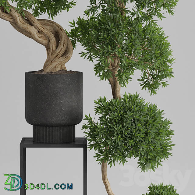 Plants collection 744 3D Models