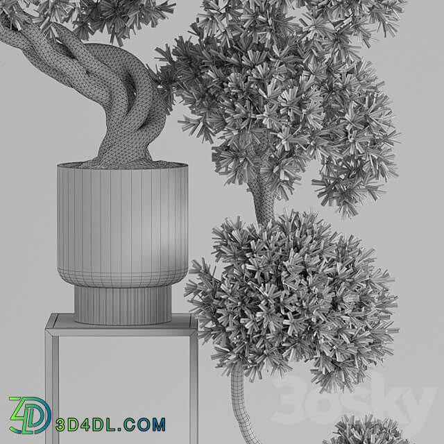 Plants collection 744 3D Models