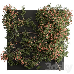 Outdoor Plant Set 426 Ivy on Wall 3D Models 