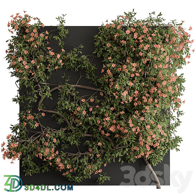 Outdoor Plant Set 426 Ivy on Wall 3D Models