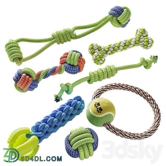 Chewable Dogs Toys 3D Models