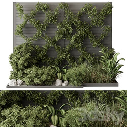 Outdoor Plant Set 429 Ivy on Wall 3D Models 