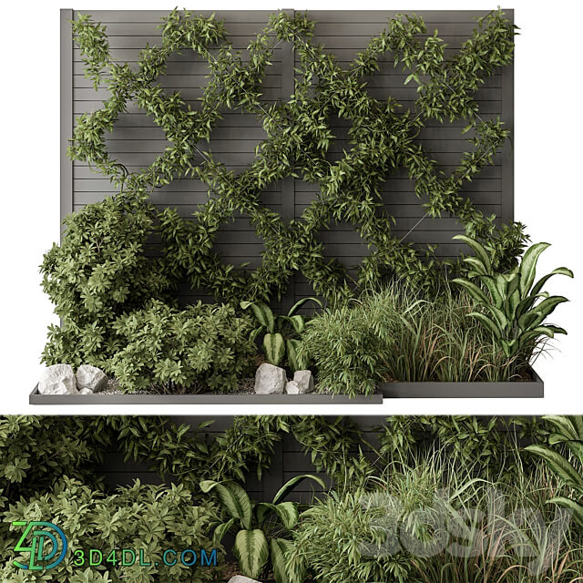 Outdoor Plant Set 429 Ivy on Wall 3D Models