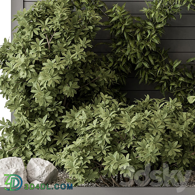 Outdoor Plant Set 429 Ivy on Wall 3D Models