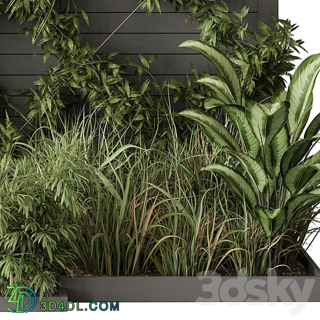 Outdoor Plant Set 429 Ivy on Wall 3D Models