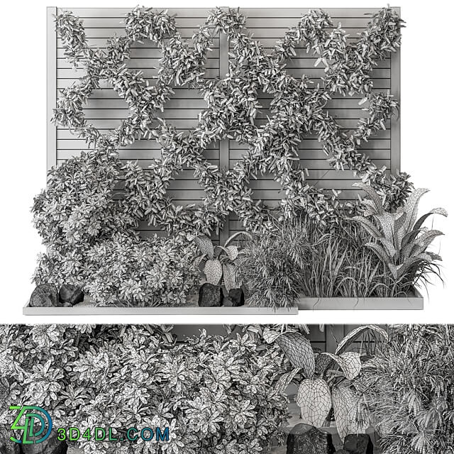 Outdoor Plant Set 429 Ivy on Wall 3D Models