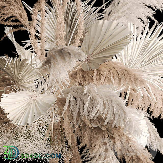 Installation and suspension for a solemn decoration from white decor from dried flowers pampas grass branches dry reeds wedding bouquet 257. 3D Models