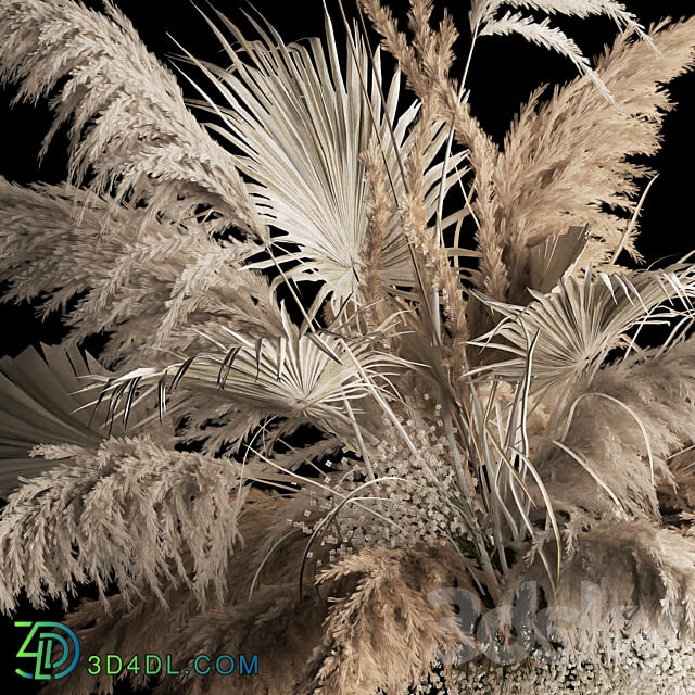 Installation and suspension for a solemn decoration from white decor from dried flowers pampas grass branches dry reeds wedding bouquet 257. 3D Models