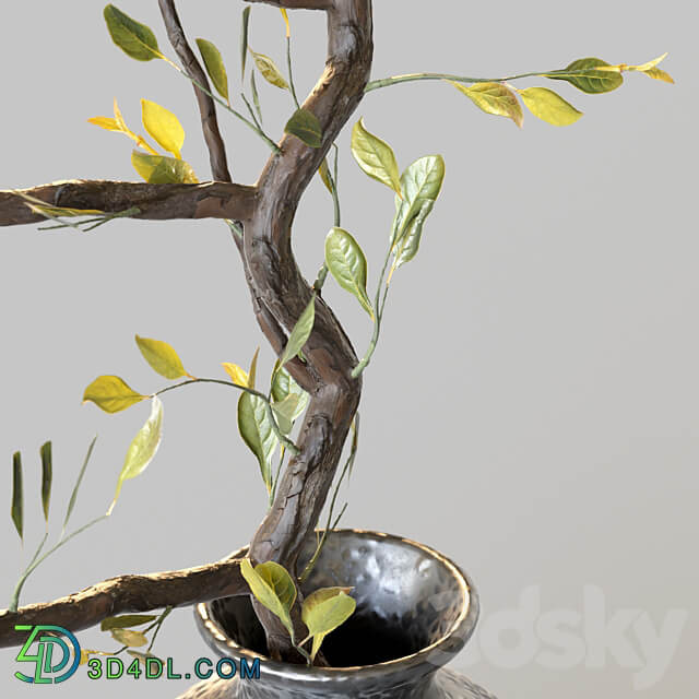 Plum branch in flower arrangement vase 3D Models