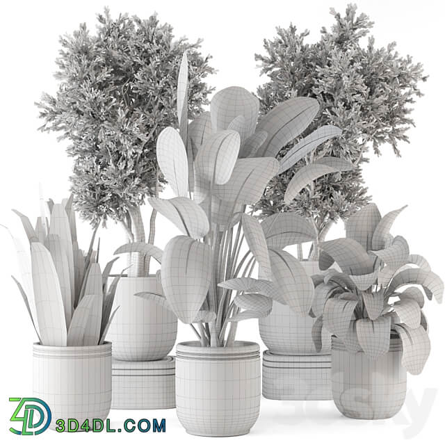 Indoor Plants in rusty Concrete Pot Set 921 3D Models