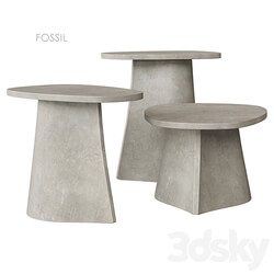 FOSSIL Table MDF Italia 3D Models 