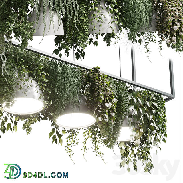 pot light pendant plant light hanging 08 Pendant light 3D Models
