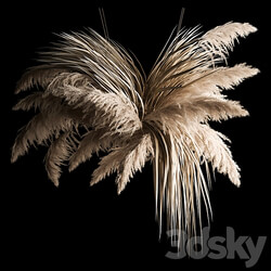 Hanging bouquet of dry reeds and pampas grass for decoration and interior. 266. 3D Models 