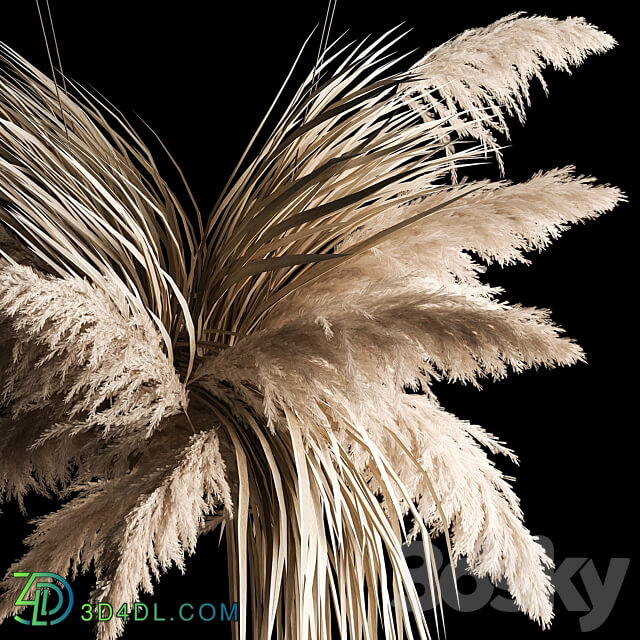 Hanging bouquet of dry reeds and pampas grass for decoration and interior. 266. 3D Models