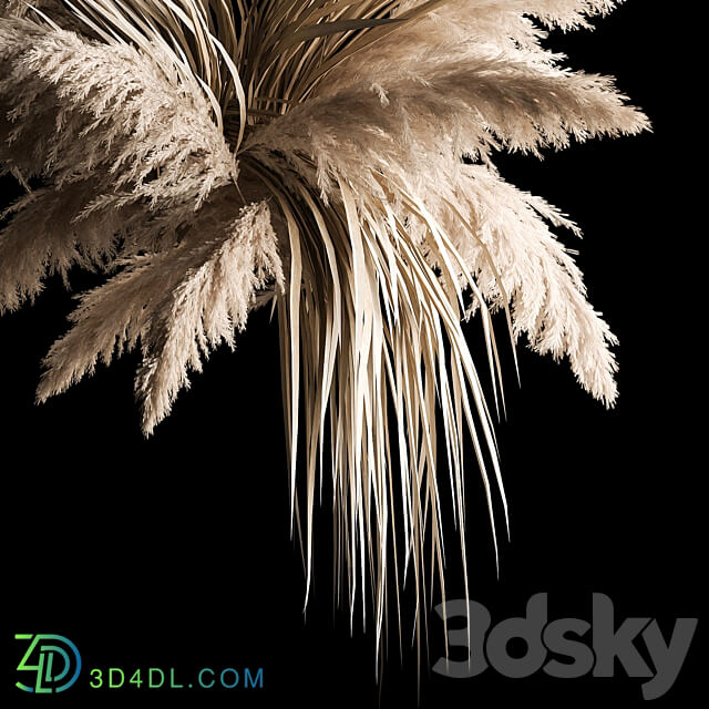 Hanging bouquet of dry reeds and pampas grass for decoration and interior. 266. 3D Models