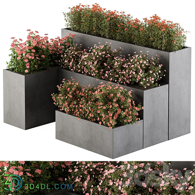 Flower Box Outdoor Plants 436 3D Models