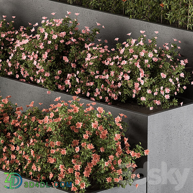 Flower Box Outdoor Plants 436 3D Models