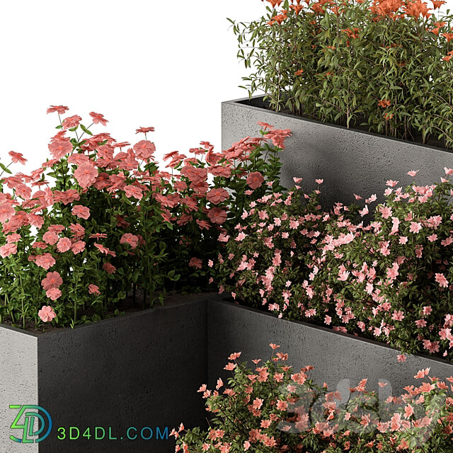 Flower Box Outdoor Plants 436 3D Models