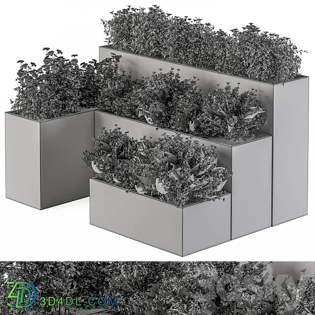 Flower Box Outdoor Plants 436 3D Models