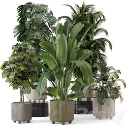 Indoor Planters in Cecilia Ficonstone Pot Set 969 3D Models 