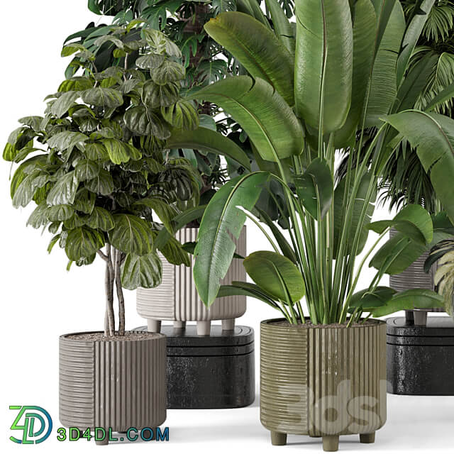 Indoor Planters in Cecilia Ficonstone Pot Set 969 3D Models