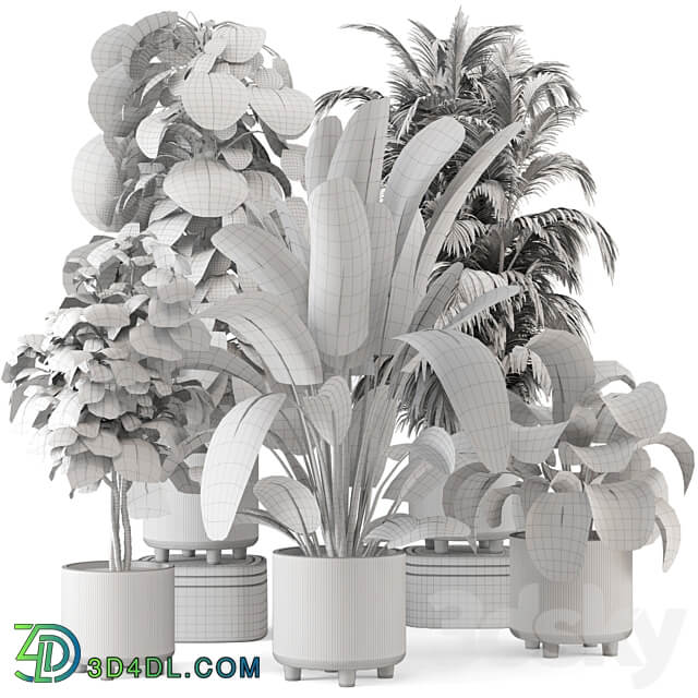 Indoor Planters in Cecilia Ficonstone Pot Set 969 3D Models