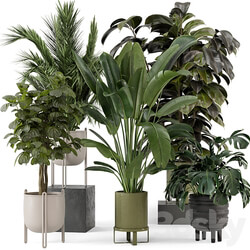 Indoor Plants in Ferm Living Bau Pot Large Set 976 3D Models 