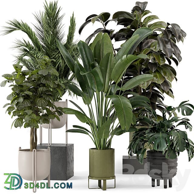 Indoor Plants in Ferm Living Bau Pot Large Set 976 3D Models