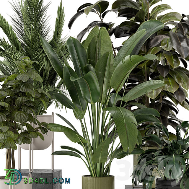 Indoor Plants in Ferm Living Bau Pot Large Set 976 3D Models