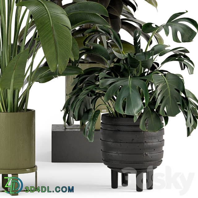 Indoor Plants in Ferm Living Bau Pot Large Set 976 3D Models