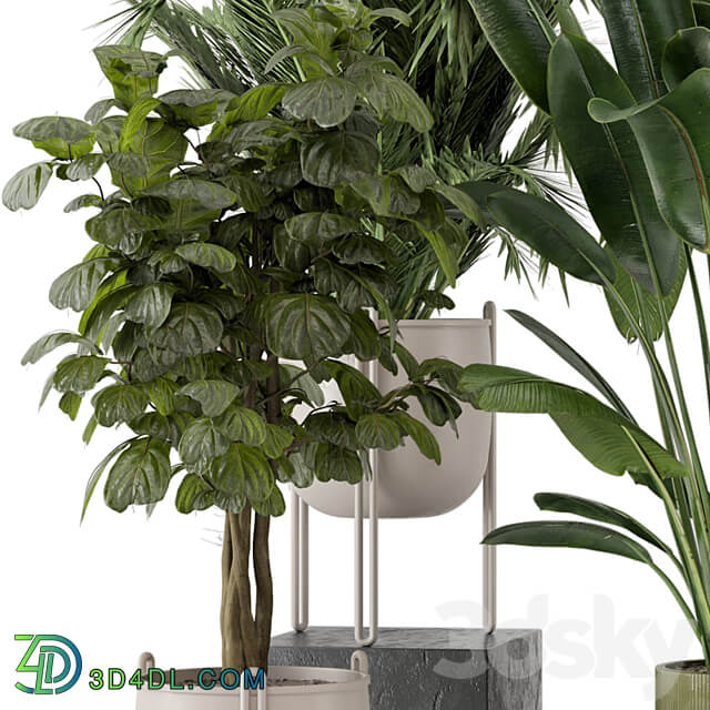 Indoor Plants in Ferm Living Bau Pot Large Set 976 3D Models