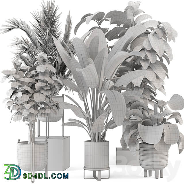 Indoor Plants in Ferm Living Bau Pot Large Set 976 3D Models