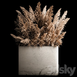 Decorative bouquet in a concrete vase of dry reeds and pampas grass for the interior flowerpot decor. 268. 3D Models 