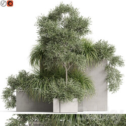 Plants collection 770 3D Models 