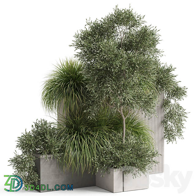 Plants collection 770 3D Models